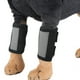 thumbnail image 3 of Protector de Rodilla para Mascotas ANGGREK S/M/L, 3 of 7