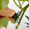 thumbnail image 3 of Monstrate Clips para plantas de color verde oscuro, fáciles de usar, con 6 garras, para una práctica herramienta de jardinería, rama atada Jardín y Patio verde 100 piezas, 3 of 6