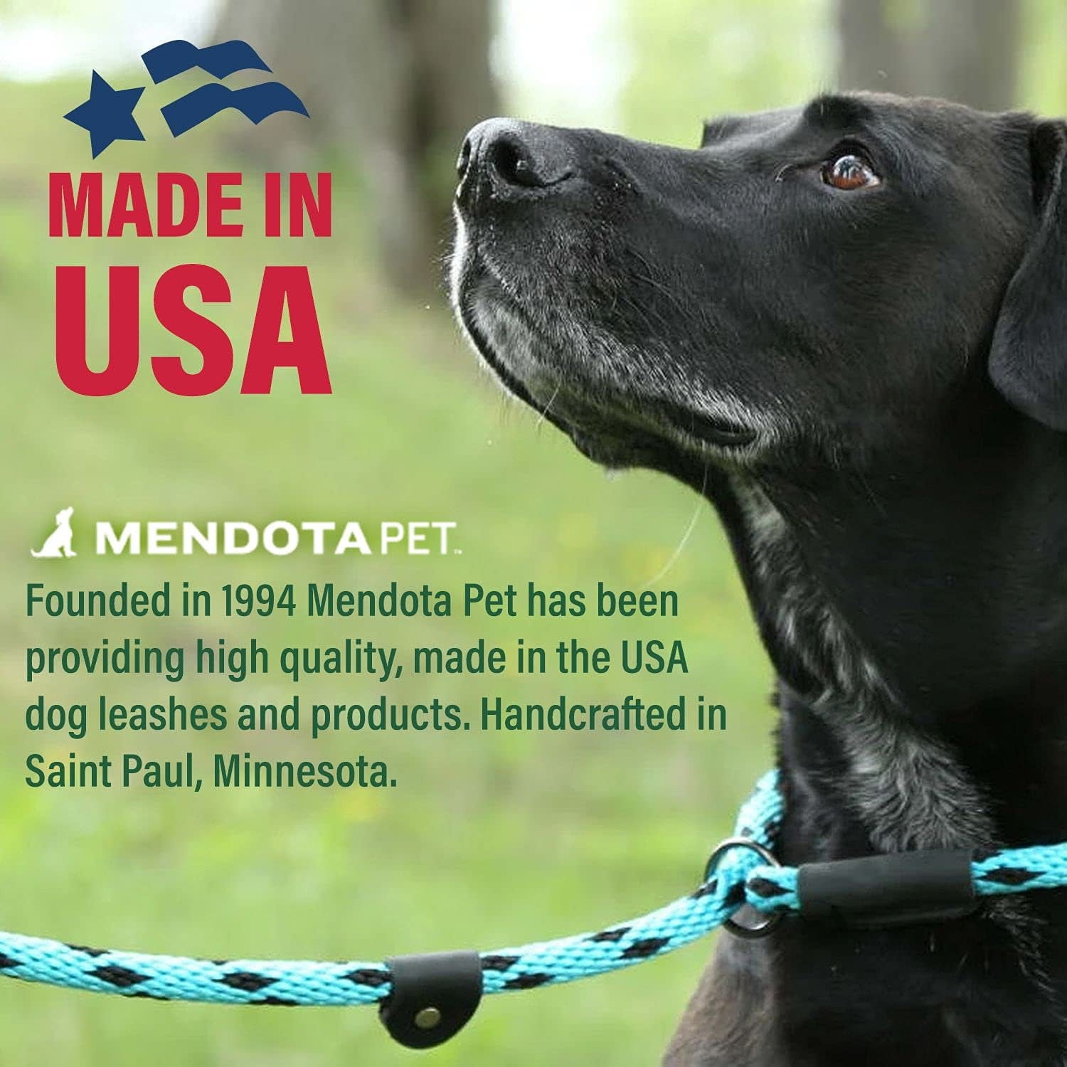 Mendota Pet Slip Leash - Dog Lead and Collar Combo - - Sapphire, 3/8 in x 6 ft - for Small/Medium Breeds