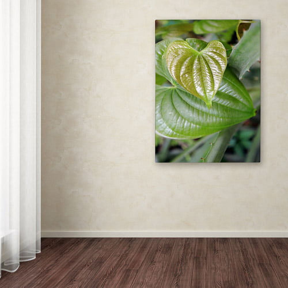 Trademark Fine Art "Natural Hearts" Canvas Wall Art by Patty Tuggle