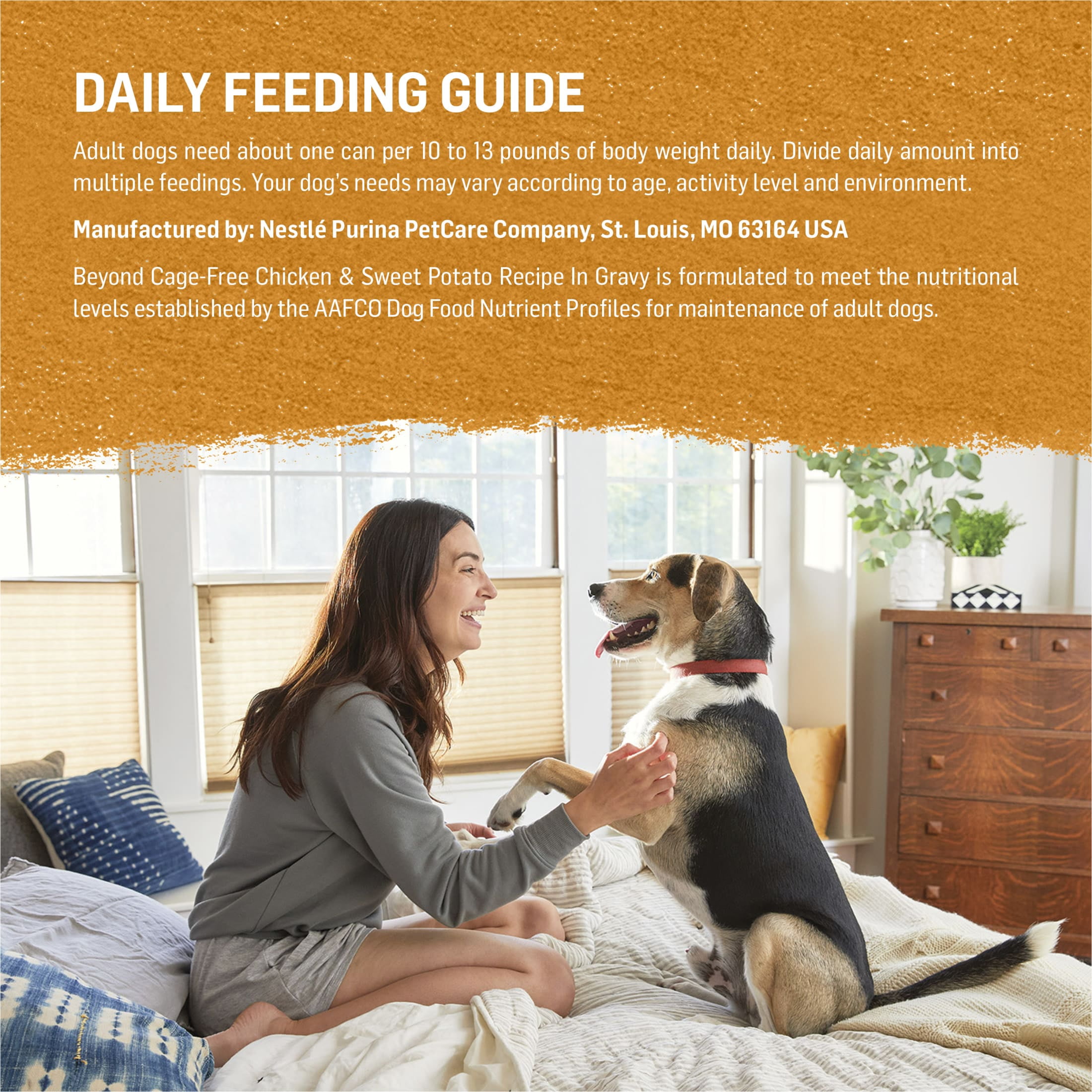 Purina Beyond Grain-Free Wet Dog Food in Gravy Soft Chicken & Sweet Potato, 12.5 oz Can