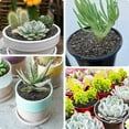 thumbnail image 6 of 2.5 Pound Black Lava Rocks for Plant, Succulent, Landscaping, Top-Dressing, Pure Volcanic Rocks, 1/5 Inch, 6 of 7