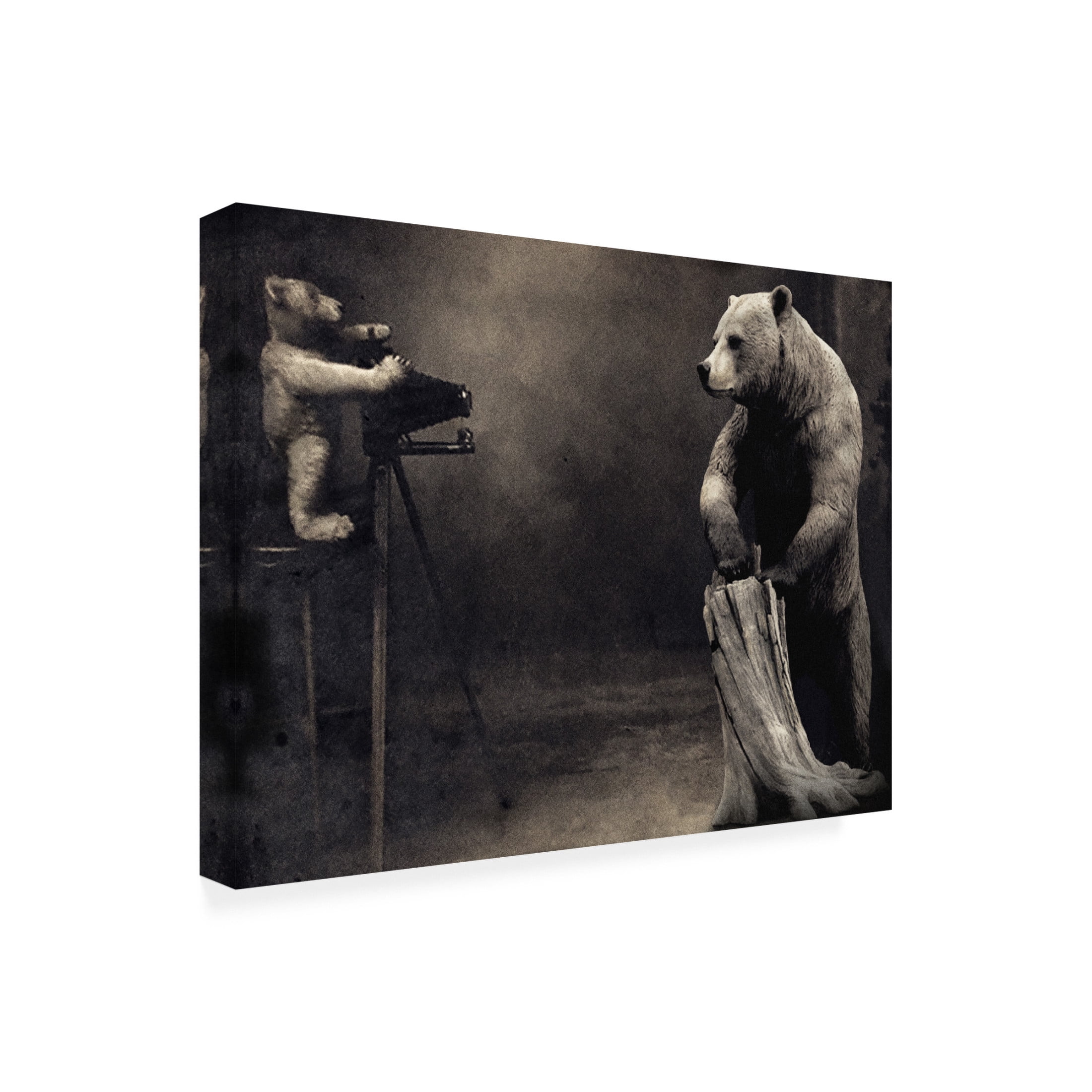 Canvas Wall Art - Jeffrey Hummel 'Hold That' Wall Art for Living Room, Bedroom, or Office D?cor by Trademark Fine Art - 24 x 18 Inches