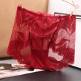 thumbnail image 2 of Sngxgn Seamless Underwear for Women Panties Soft Stretch Underwear Invisibles Briefs(,XL), 2 of 3