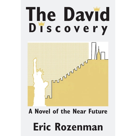 The David Discovery, (Hardcover)