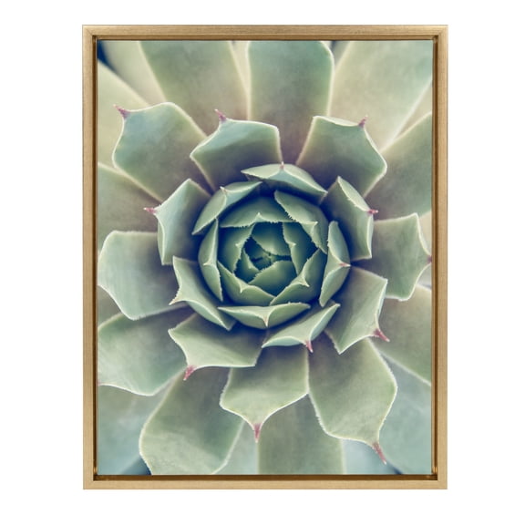 Kate and Laurel Sylvie Succulent 1 Color Photograph Framed Canvas Wall Art by F2 Images, 18x24 Gold