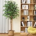thumbnail image 1 of DR.Planzen 6 ft Artificial Ficus Tree with Natural Wood Trunk and Realistic Leaves, Fake Plant, Faux Ficus Tree for Indoor Outdoor, 1 of 9