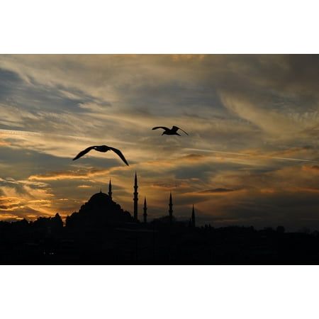 - LAMINATED POSTER Clouds Sunset Istanbul Turkey Landscape Animal Poster Print 24 x 36