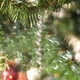 thumbnail image 5 of onlyliua ¡ Ofertas Del Día Liquidación Prime! 4 Piezas de Adornos Navideños, Barras de Hielo Navideñas, Conoss de Hielo, Colgantes de Árboles de Navidad, Copos de Nieve Navideños, Colgantes de Barras, 5 of 5