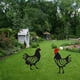 thumbnail image 5 of Toystoory Estacas de animales acrílicas de gallo, decoración artística de jardín, letrero de jardín artístico para patio de pollos, amplia Jardín y Patio B, 5 of 6