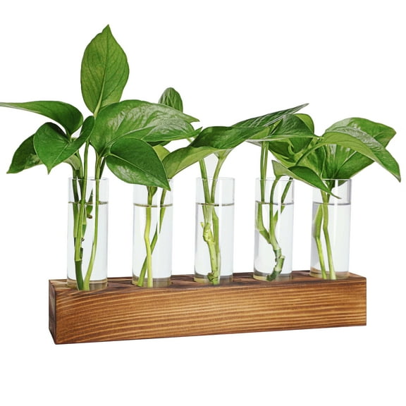Plant Propagation Station,Plant Terrarium with Wooden Stand,Gifts for Women Mom - 5 Glass Test Tubes