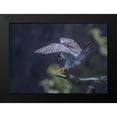 thumbnail image 2 of Huang, Tao 14x11 Black Modern Framed Museum Art Print Titled - Peregrine Falcon, 2 of 5