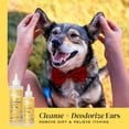thumbnail image 5 of Divine Canine Essential Ear Cleanser - Dog Ear Cleaner - Soothes & Protects Pet Ears - Dog Grooming - Remove Wax & Deodorize - Aloe, Chamomile, Glycerin, Glycolic Acid - Ear Wellness for Dogs - 4 oz, 5 of 9