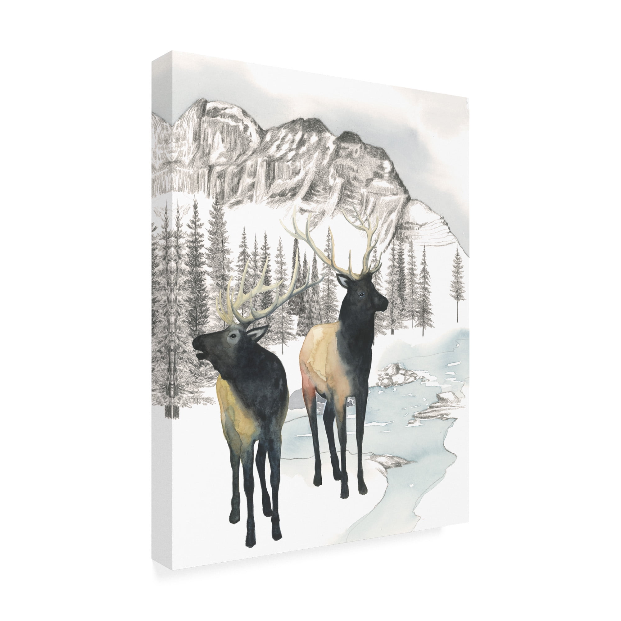 Trademark Fine Art 'Winter Elk II' Canvas Art by Grace Popp