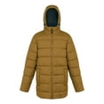 thumbnail image 1 of Regatta Veste Matelassée pour Hommes Lakiver, 1 of 4