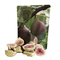 thumbnail image 6 of Bern’s Farm Freeze-Dried Figs Bags of 4-0.53 oz Each Healthy Gluten-Free Crispy & Delicious Ideal for School Lunches or Snacking Straight from the Bag, 6 of 8
