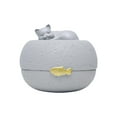 thumbnail image 1 of DOLITY Urne de Crémation pour Animaux Urne Commémorative de Crémation Urne Mémorable Boîte d'Urne en Cendres pour Animaux pour Chat, 1 of 9
