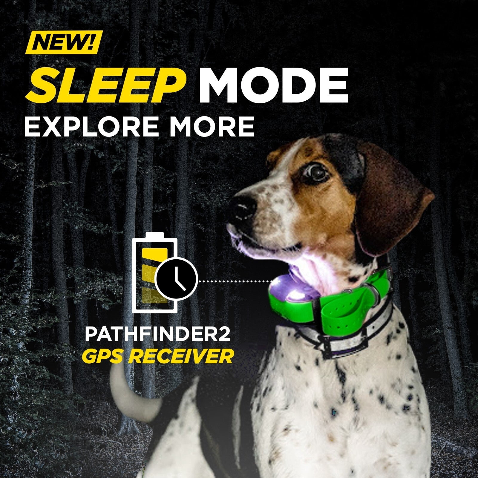 Dogtra Pathfinder 2 Additional Receiver GPS E Collar - Waterproof, Free App, No Monthly Fees
