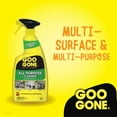 Goo Gone Grill and Grate Cleaner (2 Pack) Cleans Cooking Grates and