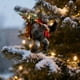 thumbnail image 5 of Christmas Ornaments Christmas Decorations Christmas Tree Pendants 2D Flat Printing Acrylic Pendants, 5 of 6