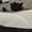 Sail/Sail/Black, variant on NIKE WOMENS Air Footscape Woven Womens "Dalmation" FB1959 102 FB1959 102 from Stadium Goods