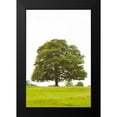 thumbnail image 2 of Millet, Karyn 13x18 Black Modern Framed Museum Art Print Titled - Tree I, 2 of 5