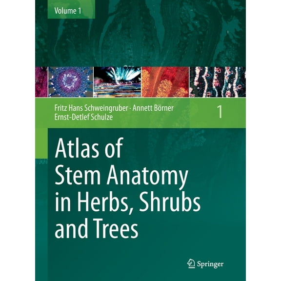 Atlas of Stem Anatomy in Herbs, Shrubs and Trees, Volume 1, (Paperback)