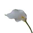thumbnail image 1 of Ramo de flores artificiales de lirio de cala de tallo largo, flores falsas de látex de tacto real para el hogar, dormitorio, oficina, boda, fiesta, decoración de eventos., 1 of 8