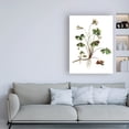thumbnail image 3 of Trademark Fine Art 'Botanica II' Canvas Art by Incado, 3 of 3
