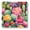 Color2145, variant on High Precision Body Weight Scale Smart Bathroom Scales with Large LCD Display(400lbs),Decorative for Bedroom-Colorful Cacti And Blooming Flowers