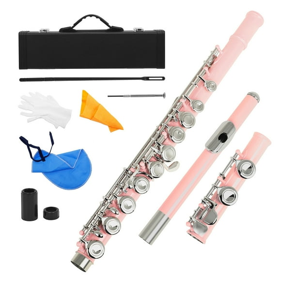 Western Concert Flute Cupronickel Nickel Plated 16 Holes C Key Woodwind Instrument with Cleaning Cloth Stick Gloves Mini Screwdriver Padded Case