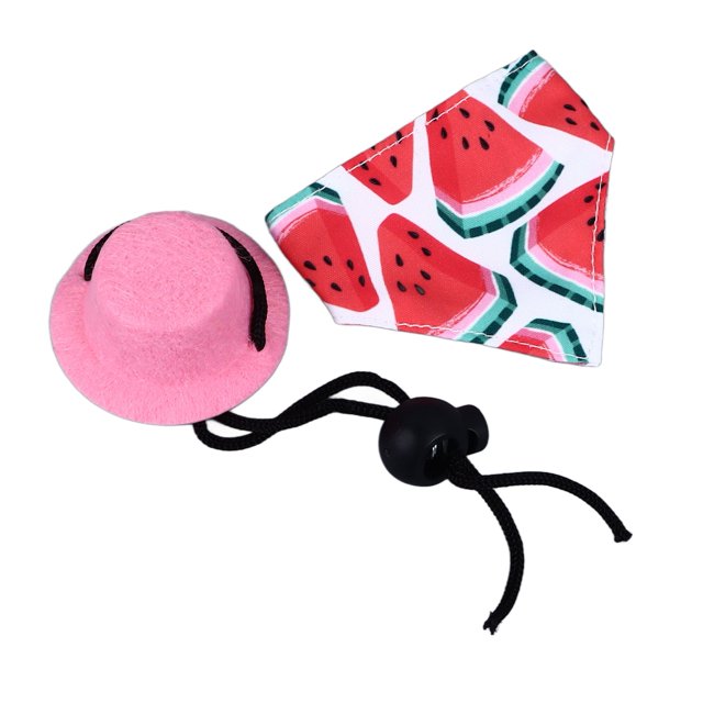 Suave y Cómodo Juego de Bandana con Sombrero de Dragón Barbudo para Lagartos Hámsteres y Animales Pequeños Disfraz Lindo y Elegante para Halloween y Fiestas ANGGREK Otros