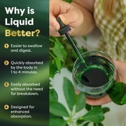 Best Naturals Liquid Chlorophyll Drops 50mg, 2 fl oz - Supports Energizing, Alkalization, Oxygenation