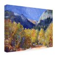 thumbnail image 4 of Richard Wallich 'Cotton' Canvas Art, 4 of 4