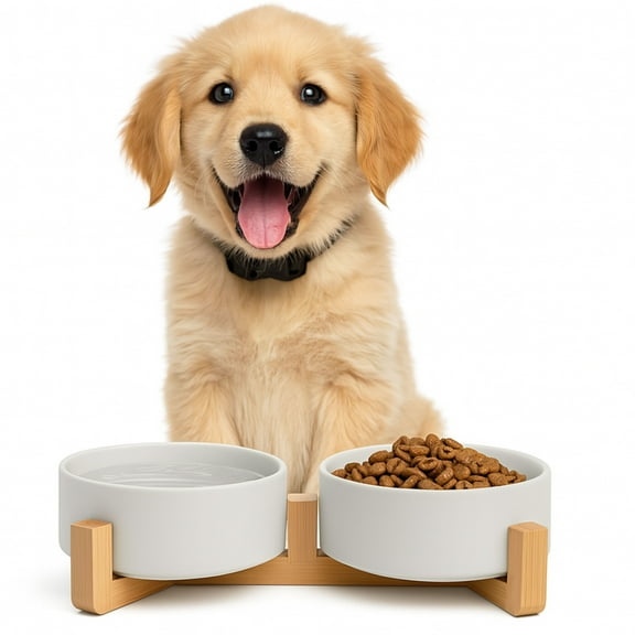 Ceramic Dog and Cat Bowl Set with Bamboo Stand, 13.5oz Tilted Non-Slip Elevated Pet Feeder for Small Dogs & Cats, Dishwasher Safe Food and Water Bowls