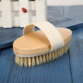 View all media