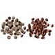 thumbnail image 1 of 200x Bellotas Granel Rústicas Bellotas Gorras Guirnalda Bricolaje Decoración de Otoño de Nad Sunnimix Bellotas Naturales, 1 of 8