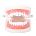 thumbnail image 3 of Rhinestone Bar Teeth Fang Grills Teeth s Hippy Jewelry - Golden 5 Crystal Dorado Hugo Boca boca tapa de tomas, 3 of 7