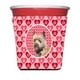 Cairn Terrier Valentines Amour et Coeurs Câlineur Rouge - 16 à 22 oz. – image 1 sur 1