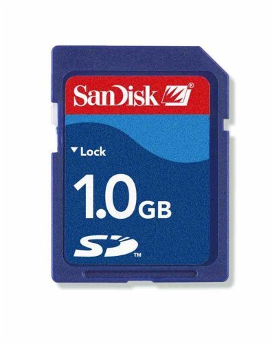 SanDisk 1 GB Secure Digital SD Card (SDSDB-1024, Bulk Package) - Walmart.com - Walmart.com