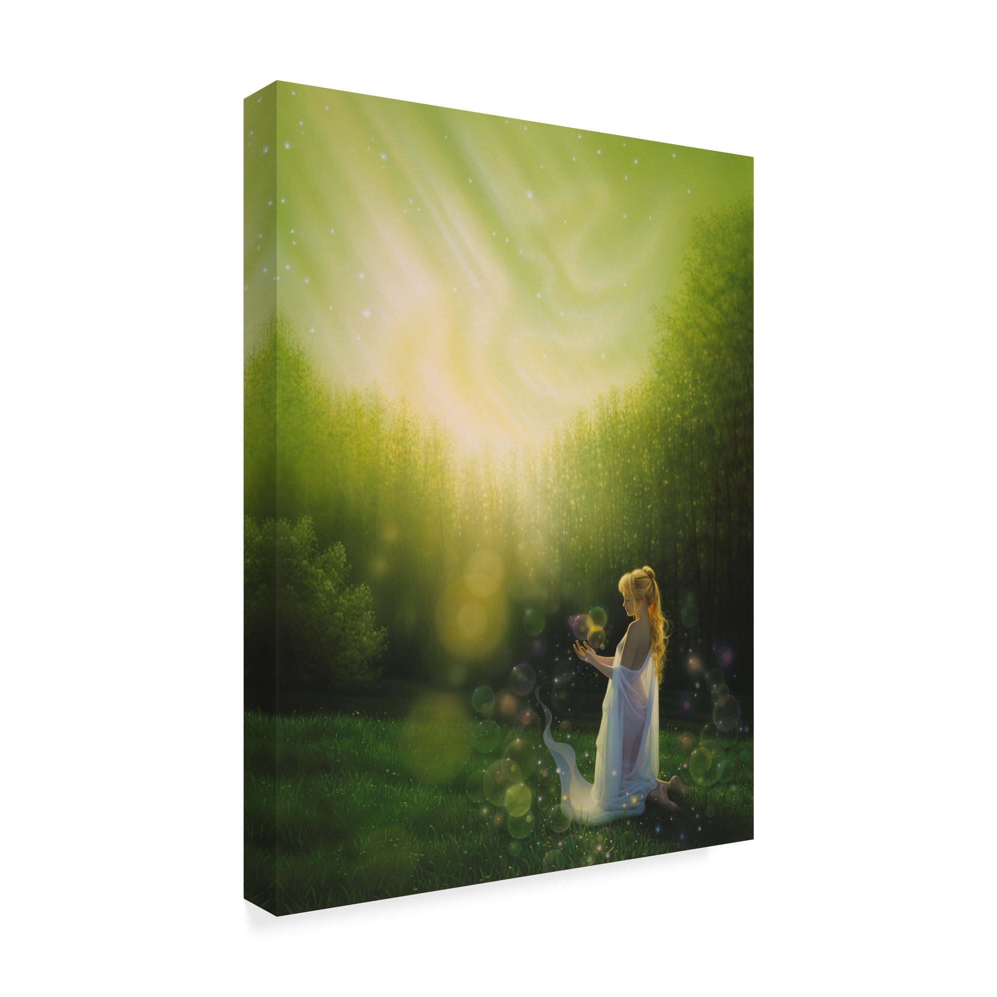 Trademark Fine Art 'Celestial Friends' Canvas Art by Kirk Reinert