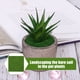 thumbnail image 2 of Cateissary Césped sintético sintético para balcón o jardín, alta densidad, bajo mantenimiento, flocado, 4 pack/lote Decoración del hogar, 2 of 4