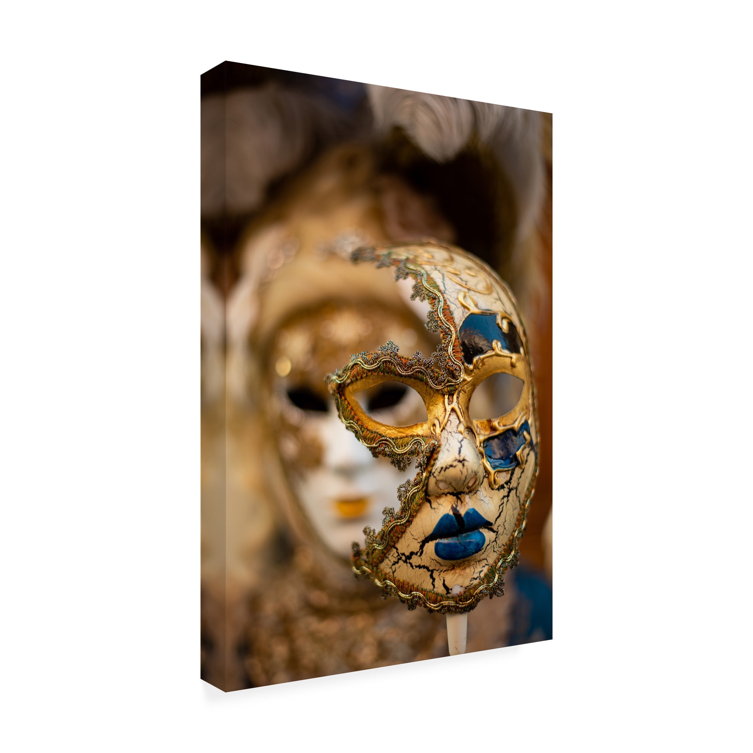 Trademark Fine Art Barak Shacked Behind The Eyes Of Venice Mask Canvas Wall Art