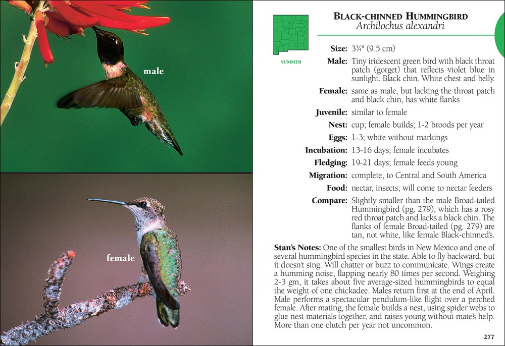 Bird Identification Guides: Birds of New Mexico Field Guide (Paperback) - image 3 of 4