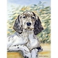 thumbnail image 1 of Carolines Treasures 7065GF English Setter Flag - Garden Size, 1 of 3