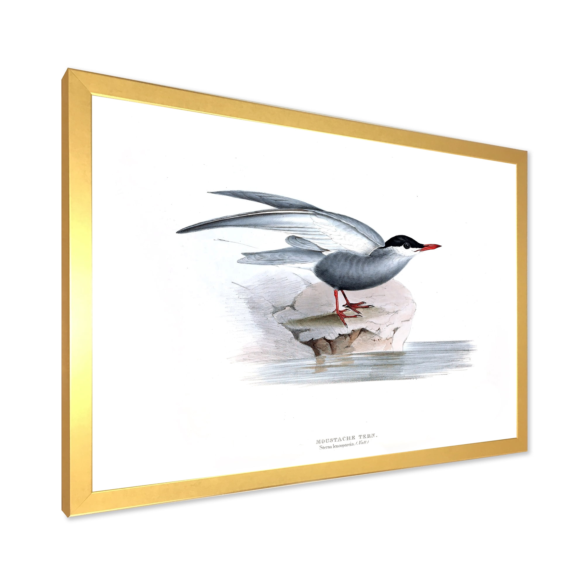 Designart 'Ancient Bird Of Europe I' Traditional Framed Art Print