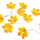 thumbnail image 1 of Guirnalda de hojas de arce de otoño, luces de hadas, cadena de luces impermeables para decoración de Halloween de Acción de Gracias, 1 of 5