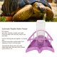 thumbnail image 3 of Alimentador de Agua para Reptiles Alimentador Automático de Agua para Reptiles Comederos Automáticos para Tortugas Dispensador de Bebedero de Agua para Reptiles con Valla ANGGREK Otros, 3 of 8