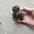 thumbnail image 2 of Chinese Wooden Lion Statue Wood Carving Play Ball Room Desk decorative sculpture home decor, 2 of 6