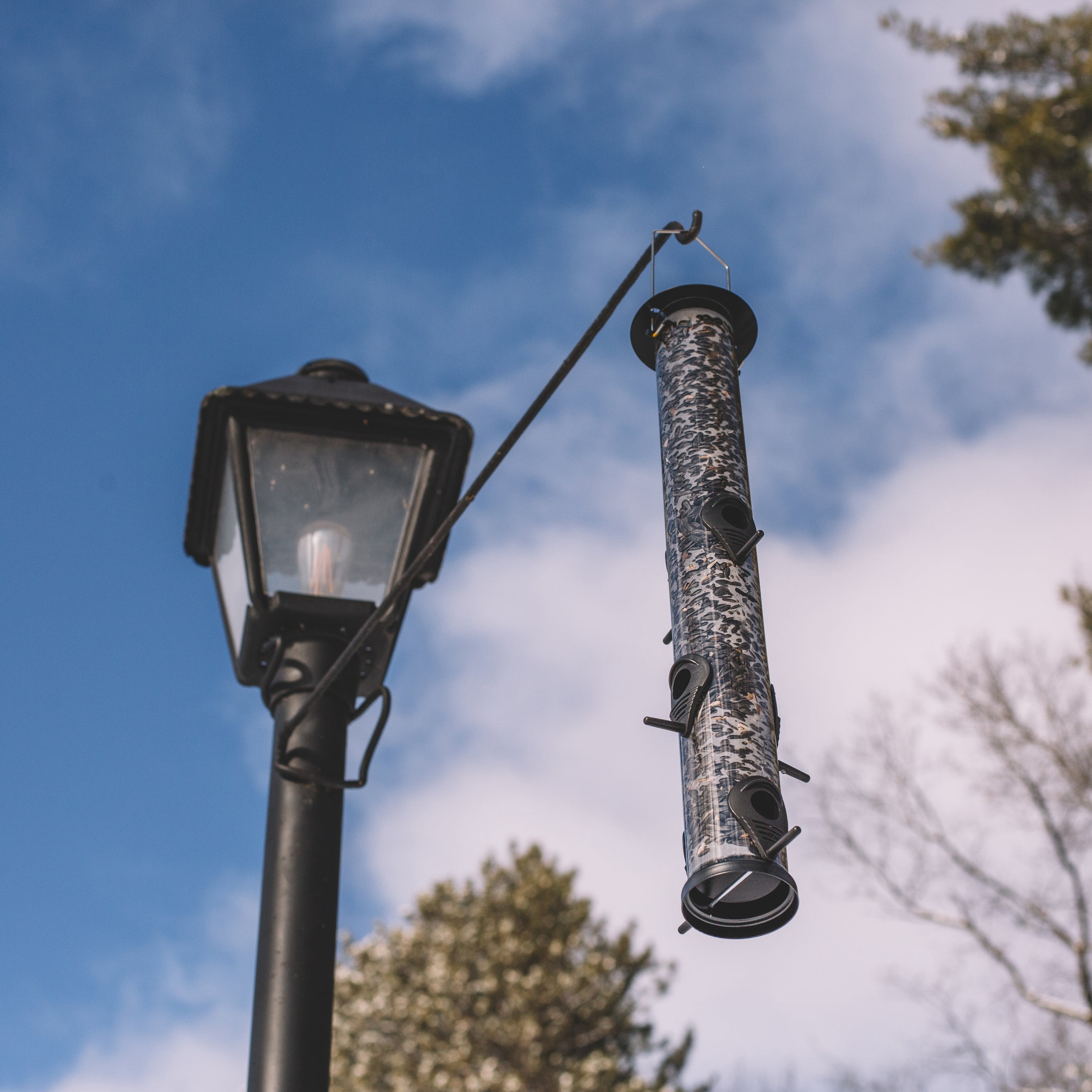 Backyard Expressions Tall Tube Bird Feeder - Durable Hanging Wild Bird Feeder for Wild Birds - 23" Tall, 6-Port Design